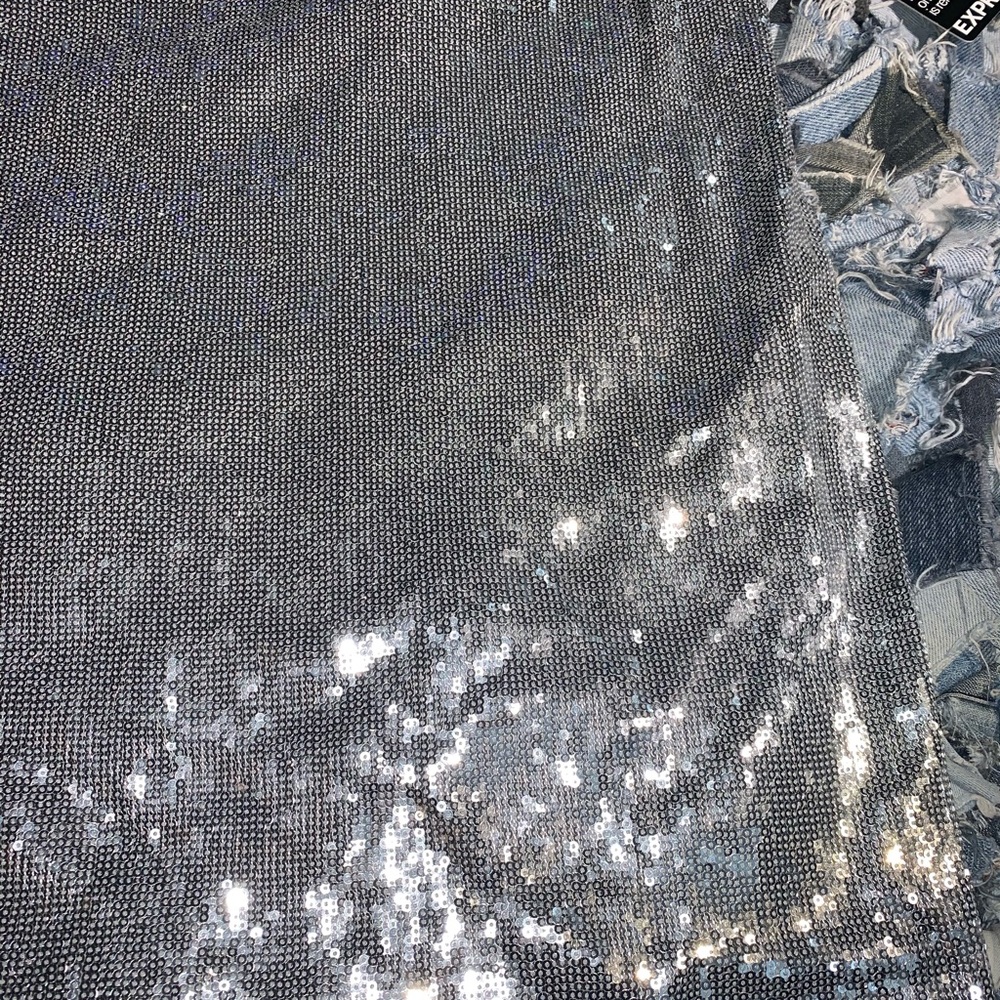 Express Sequence Dress - Picture 5 of 5